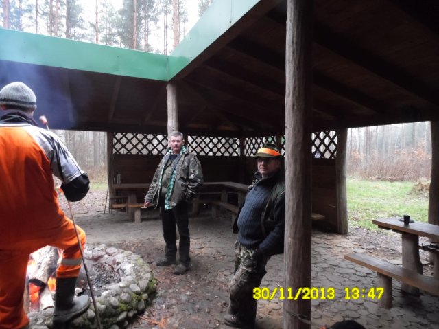 Polowanie zarządów 2013
